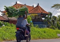 Житель индонезийской деревни Гесикан пришел домой после того, как всего несколькими часами ранее его похоронили родные