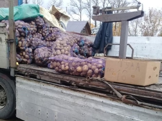В Тверской области незаконно продавали картофель