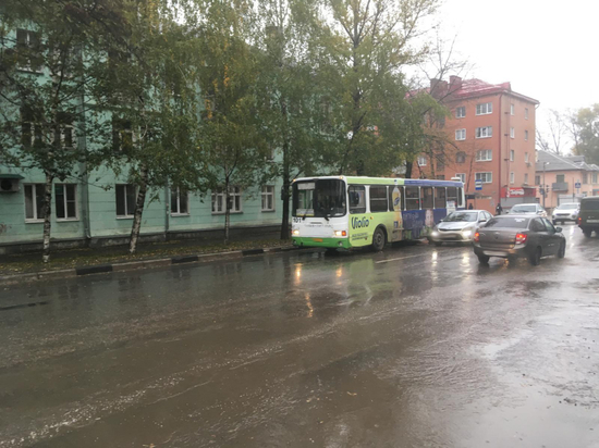 В Тамбовской области два пешехода попали под автобус