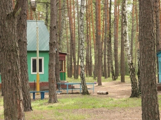 В Перми семь руководителей детских лагерей стали жертвами смехотворной разводки