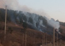 Сухая трава в лесу загорелась в районе поселка Песчанки Ингодинского района Читы