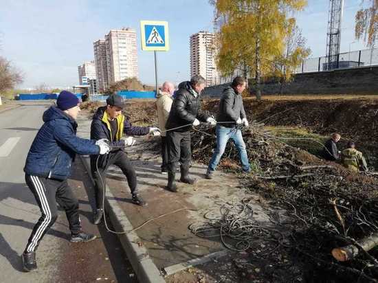 75 кубометров мусора вывезли от ледового дворца Тулы