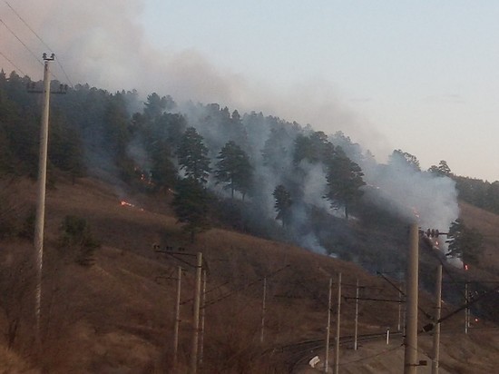 Пожар в лесу произошел на окраине Читы