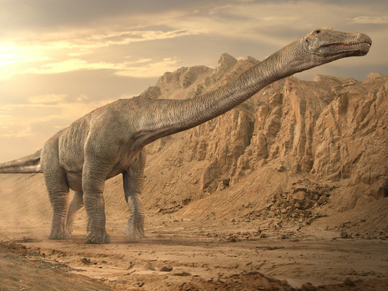 В Бурятии нашли кость 20-метрового динозавра