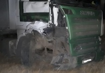 Водитель седельного тягача Scania с полуприцепом насмерть сбил забайкальца, который менял колесо на обочине трассы «Чита-Забайкальск»