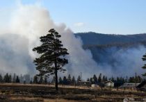 Полицейские раскрыли преступную схему воровства бюджетных средств на тушении лесных пожаров в Забайкальском крае