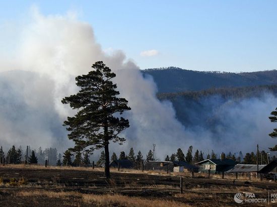 Раскрыта схема воровства денег на тушении лесных пожаров в Забайкалье