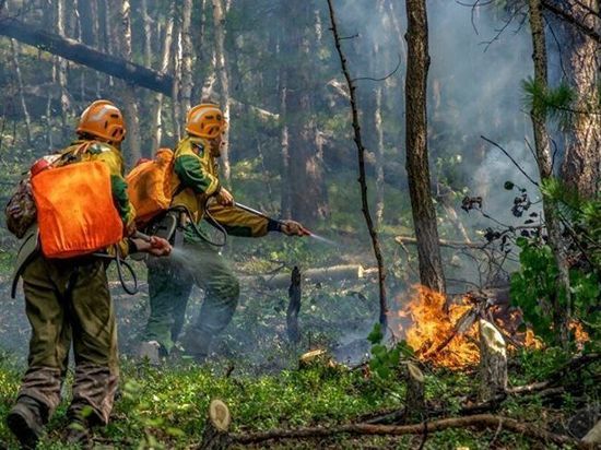 По вине жителей Хакасии в выходные горели два леса