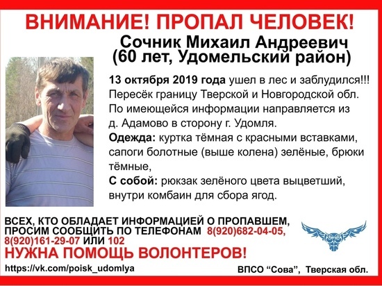 В Тверской области мужчина пропал в лесу