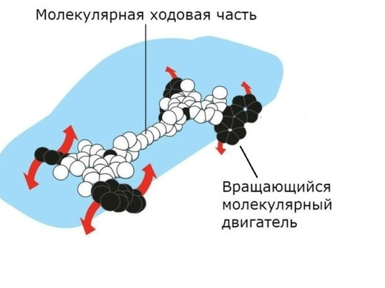 Новосибирские ученые научились управлять молекулярными машинами