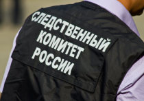 В причинах гибели школьника в одном из городов на востоке Московской области разбираются следователи
