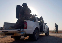 Части правительственной сирийской армии заняли ряд территорий, ранее подконтрольных отрядам курдского ополчения