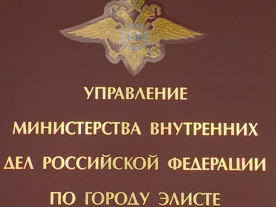 МВД Калмыкии проведет проверку по факту смертельного ДТП с участием своего сотрудника