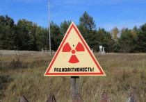 Если залезть на смотровую вышку  поста Масаны на Гомельщине, то где-то на горизонте, за  волнами осеннего леса, можно разглядеть серую громадину Чернобыльской АЭС