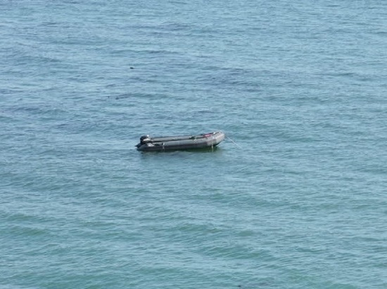 Лодку унесло: семья оказалась заперта на необитаемом острове на Северной Двине