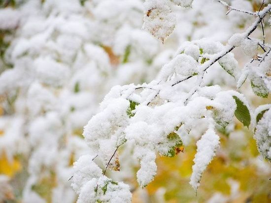 В Челябинской области скоро пойдет снег