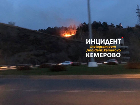 Вечером в Кемерове загорелся Сосновый бор
