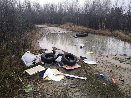 Свалку из покрышек и документов устроили неизвестные в Надыме