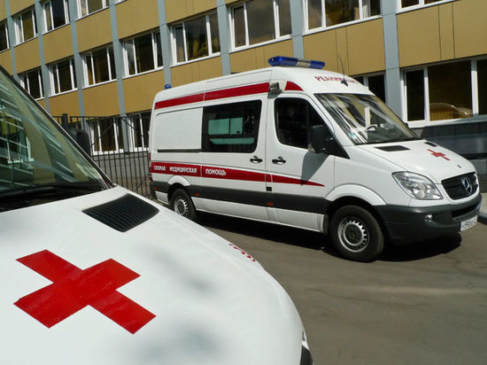 Тела пожилых супругов найдены в Подмосковье Тела пожилых супругов найдены в Подмосковье