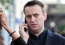 Разгром навальновского Фонда борьбы с коррупцией набирает обороты