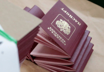 Первые электронные паспорта могут начать выдавать москвичам уже в июле следующего года