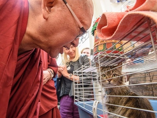 Буддийский лама в Калмыкии благословит домашних животных