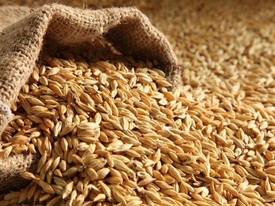 В Башкирии отгрузят водным транспортом первую партию зерна на экспорт