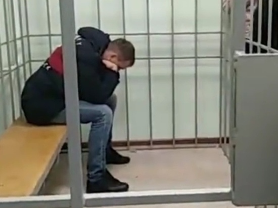 Сына адвоката Шилова отправили в СИЗО на 2 месяца