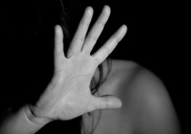 Совет Федерации планирует к 1 декабря завершить работу над так называемым «законопроектом о семейно-бытовом насилии»