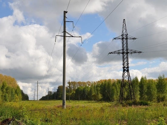 За 9 месяцев кировские энергетики расчистили от поросли почти 3000 га трасс ВЛ