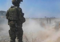 Военные советники США в Сирии, занимавшиеся подготовкой курдских отрядов и оказывавшие им поддержку в боях с боевиками ИГ (запрещена в РФ), осудили вывод американских войск из страны