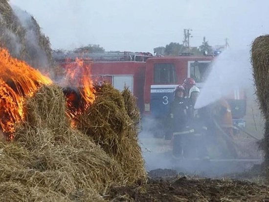 В Хакасии снова сгорели 1,5 тонны сена