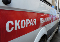 На аллее в центре Саратова обнаружили тело 35-летнего инспектора штаба ОМОН областного управления Росгвардии
