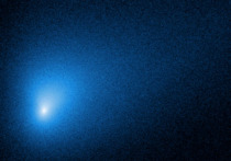 С помощью телескопа Hubble ученым удалось получить новый снимок межзвездной кометы 2I/Борисов, недавно открытой крымским астрономом Геннадием Борисовым