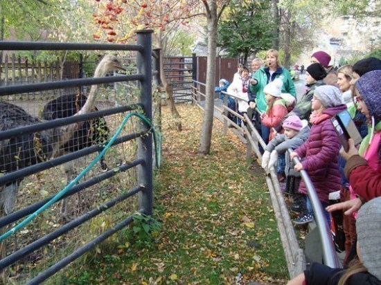 В  рамках проекта «Нечаянная радость» Общественной палаты г.о. Серпухов была организована поездка в Московский зоопарк.