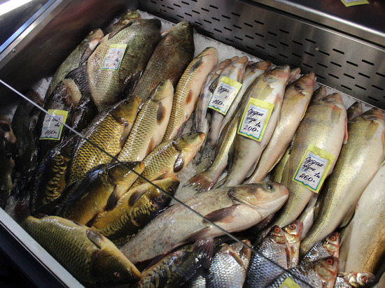  537 тонн товарной рыбы произвели в Нижегородской области