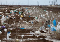 Как стало известно газете “Известия”, россиянам вскоре могут запретить пользоваться пластиковыми пакетами