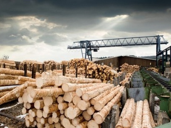 В Тверской области на деревообрабатывающих предприятиях нарушали пожарную безопасность