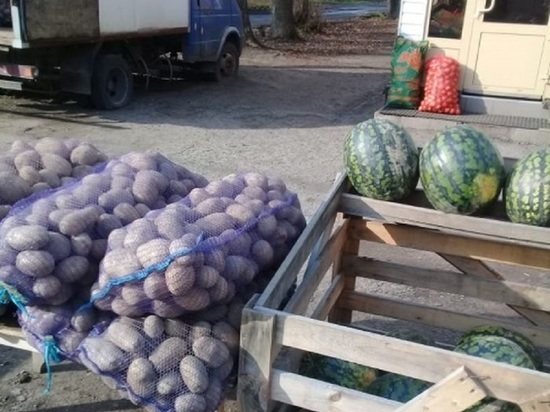 В Твери незаконно продавали картофель и арбузы