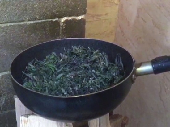 Камчатский агроном хранил «весёлую» траву на сковороде