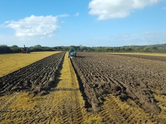  Калмыцкие земледельцы завершают осенние полевые работы