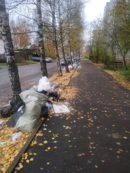 Живу как свинья и не парюсь: в Костроме жители девятиэтажки устроили свалку под своими окнами