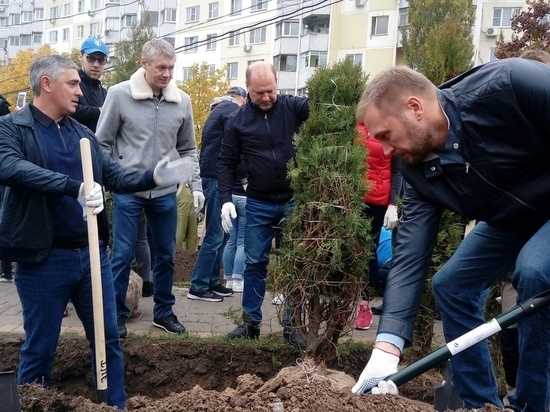 В ростовском парке «Дружба» высадили 262 дерева
