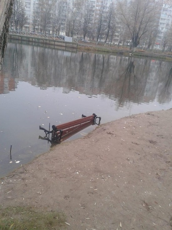 В Дзержинском районе Ярославля новые лавки вандалы утопили в пруду