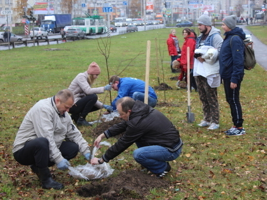 В Иванове подводят итоги экологической акции