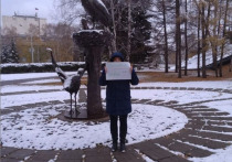 Активистка встала на пикет около статуи аиста в сквере на пересечении пр