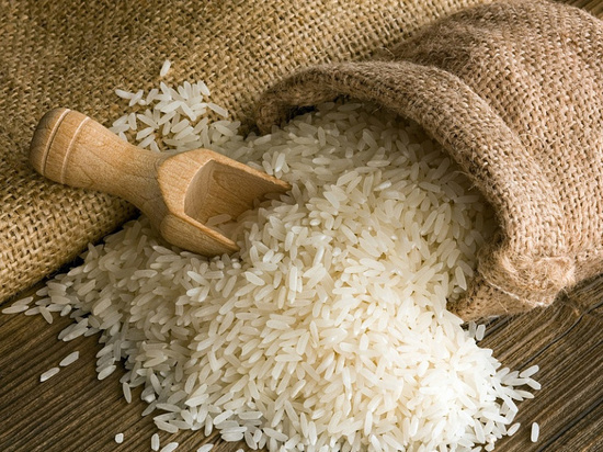 Почти 950 тысяч тонн риса собрали на Кубани