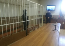 Признанного виновным в убийстве школьницы на читинской автостоянке Алексея Фирулева приговорили к пожизненному лишению свободы в колонии особого режима