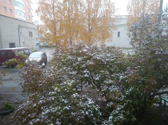 В Архангельской области сегодня лёгкий снег и небольшой плюс
