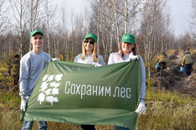 Проект по охране леса